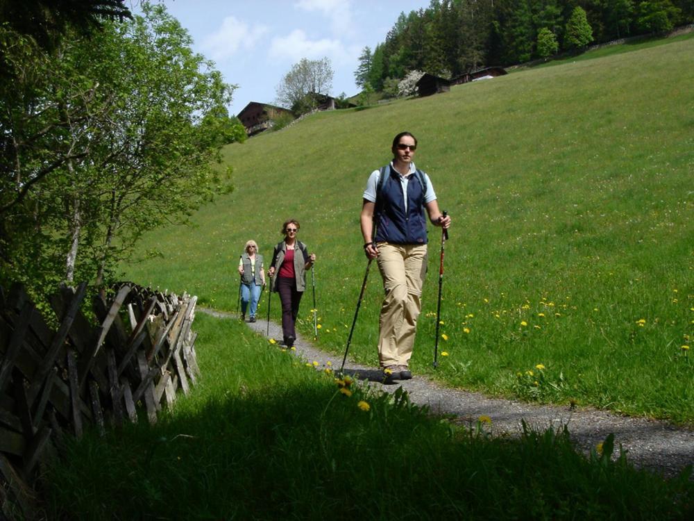Hotel Gasthof Kroell - Inkl Nationalpark-Karte, 1 X Grossglockner Hochalpenstrasse Kostenlos, 1X Gerlos Alpenstrasse Kostenlos, Krimmler Wasserfaelle Kostenlos, Verschiedene Bergbahnen Kostenlos, Badesee Kostenlos, Bus & Zug Kostenlos, Genusskueche, Niedernsill Exterior foto