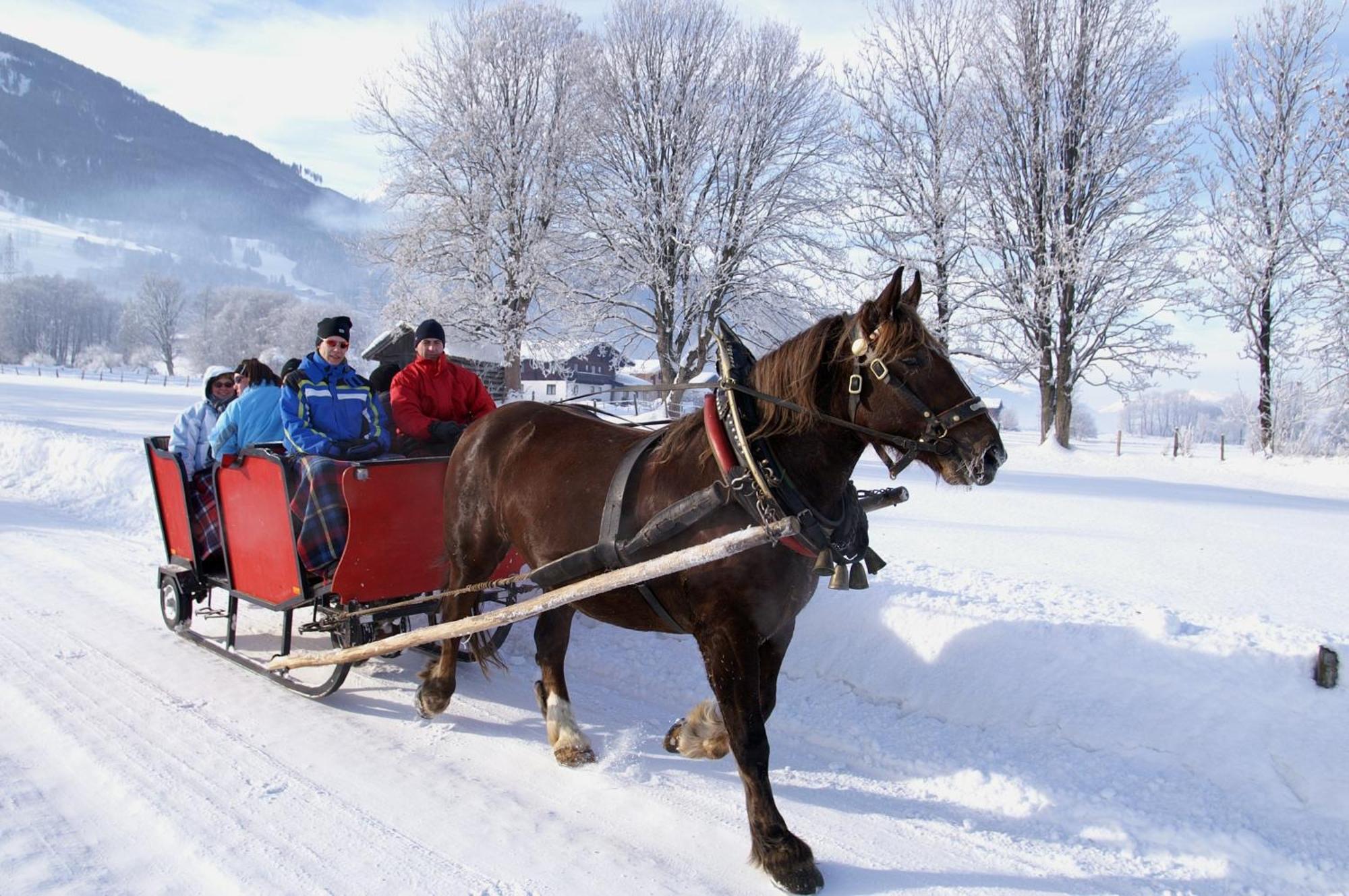Hotel Gasthof Kroell - Inkl Nationalpark-Karte, 1 X Grossglockner Hochalpenstrasse Kostenlos, 1X Gerlos Alpenstrasse Kostenlos, Krimmler Wasserfaelle Kostenlos, Verschiedene Bergbahnen Kostenlos, Badesee Kostenlos, Bus & Zug Kostenlos, Genusskueche, Niedernsill Exterior foto