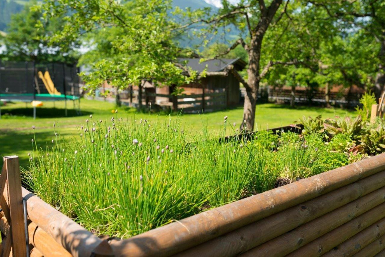 Hotel Gasthof Kroell - Inkl Nationalpark-Karte, 1 X Grossglockner Hochalpenstrasse Kostenlos, 1X Gerlos Alpenstrasse Kostenlos, Krimmler Wasserfaelle Kostenlos, Verschiedene Bergbahnen Kostenlos, Badesee Kostenlos, Bus & Zug Kostenlos, Genusskueche, Niedernsill Exterior foto